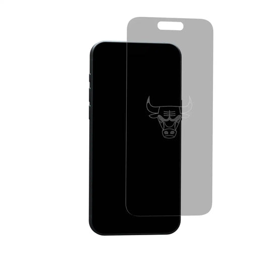 Chicago Bulls - Custom Clear Glass